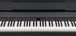 dp-990f-sb_lcd_zoom_gal