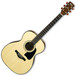 Ibanez AC3000-NT Electro Acoustic Artwood Guitar, Natural