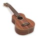 Cordoba 25SK Soprano Ukulele