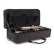 Prelude by Bach TR710 Student Bb Trumpet case open