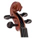 Stentor Conservatoire Violin Outfit, Full Size head