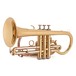 Prelude by Bach CR710 Student Bb Cornet