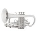 Prelude by Bach CR710 Student Bb Cornet, Silver Plate