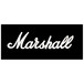 Marshall 1936V 2x12