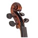 Stentor Arcadia Violin Outfit With Pirastro Tonica String Setup head