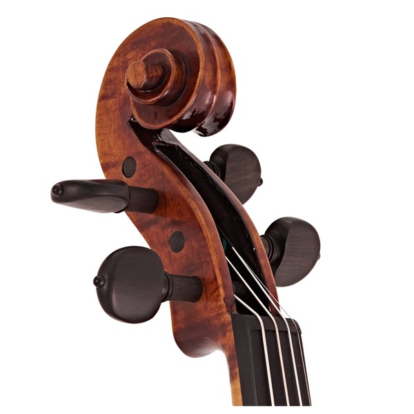 Stentor Arcadia Violin Outfit With Pirastro Evah Pirazzi String Setup