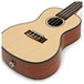 Kala KA-SCGE Electro-Acoustic Concert Ukulele, Gloss