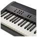 Roland FP 60 Digital Piano, Black