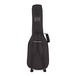 Godin xtSA, Translucent Black