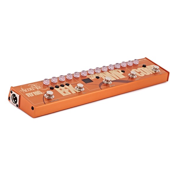 Tech 21 SansAmp Acoustic Fly-Rig