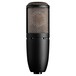 P420 Large Diaphragm Mic - Rear