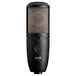 AKG Perception P420 Large Diaphragm Mic - Front