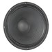 Eminence Delta Pro 15A 400 Watt 15'' Speaker Cone