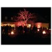 Eurolite FL-8 Outdoor LED Spotlight, Red - in action 2