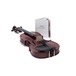 Conrad Goetz Bohemia 108 Violin, Instrument Only, angle