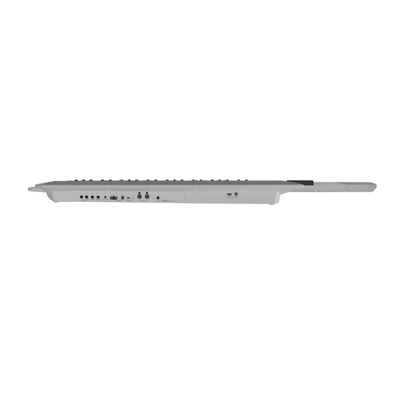 Roland AX-edge white panel