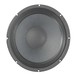 Eminence Alpha 10A 150 Watt 10'' Speaker Cone