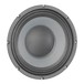 Eminence Delta 10A 350 Watt 10'' Speaker Cone