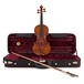 Viotti Arnold Rose 1718 Violin, Gold Level Outfit