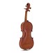 Viotti Arnold Rose 1718 Violin, Gold Level Outfit