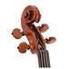 Viotti Arnold Rose 1718 Violin, Gold Level Outfit