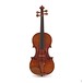 Viotti Arnold Rose 1718 Violin, Gold Level Outfit