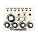 Hungry Robot Modular Looping ADSR