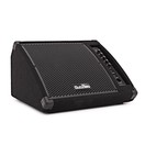 SubZero 200W 10" Active Floor Monitor