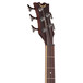 Dean EABC5 5 String Electro Acoustic Bass Guitar, Satin Natural