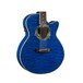 Luna Fauna Dolphin Electro Acoustic Guitar Body Close Up