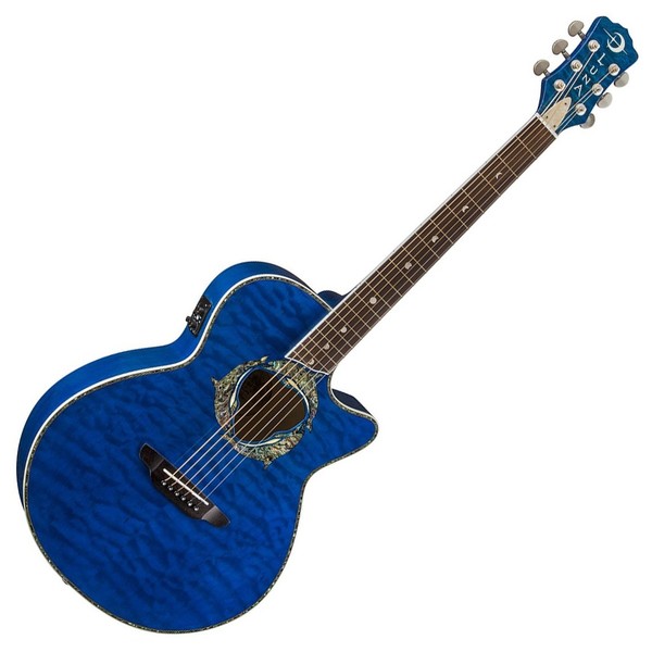 Luna Fauna Dolphin Electro Acoustic Guitar Front View