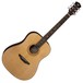 Luna Gypsy Muse Dreadnought Acoustic Guitar + Gig Bag Front View