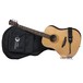 Luna Gypsy Muse Dreadnought Acoustic Guitar + Gig Bag Pack View