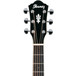 Ibanez AEG10II Electro Acoustic Guitar, Black