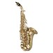 Yanagisawa SCWO10 Soprano Saxophone, Unlacquered