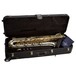 Yanagisawa BWO30BSB Baritone Saxophone, Case