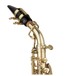 Yanagisawa SCWO10 Soprano Saxophone, Unlacquered, Crook