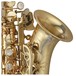 Yanagisawa SCWO10 Soprano Saxophone, Unlacquered, Bell