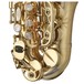 Yanagisawa SCWO10 Soprano Saxophone, Unlacquered, Bow