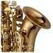 Yanagisawa SCWO20 Soprano Saxophone, Gold Lacquer, Bell