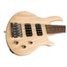 Gibson EB Bass 5 String