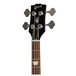 Gibson SG Standard Bass, Ebony - Head