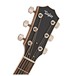 Taylor 814ce DLX Electro Acoustic Guitar