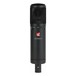 sE2200a II Multi Pattern Condenser Microphone - Front