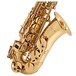 Alto Saxophone by Gear4music, Gold close 2