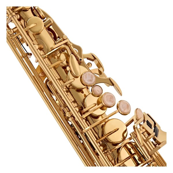 Alto Saxophone Complete Package, Gold