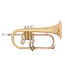Bugle par Gear4music