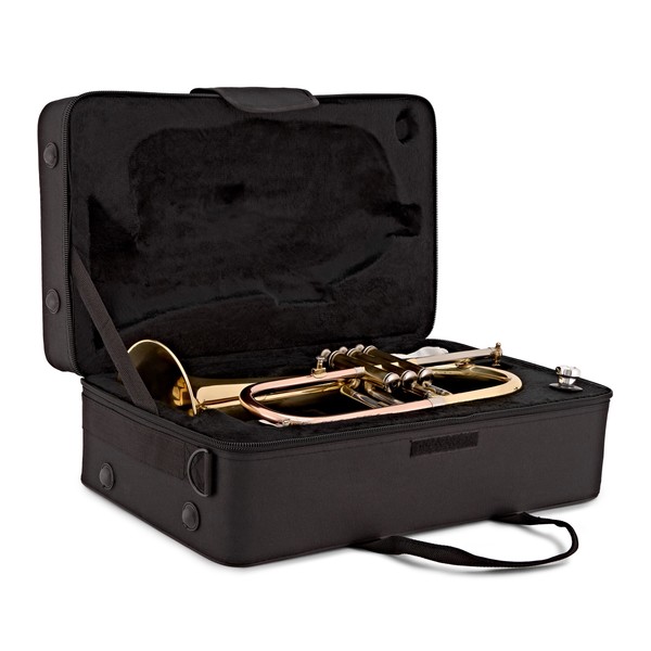 Flugel Horn by Gear4music case open