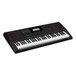 Casio CT-X3000 Portable Keyboard