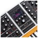 ONE Polyphonic Analog Synthesizer, 8-Voice - Detail 2